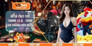 Đá Gà Trực Tiếp Thomo Là Gì