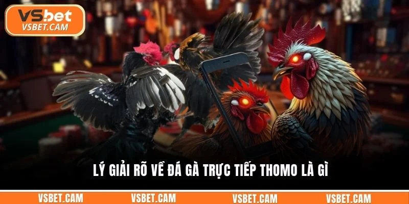 Lý giải rõ về đá gà trực tiếp Thomo là gì